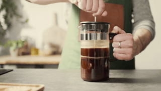 cold brew back